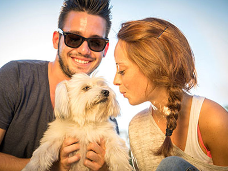 A couple in a relationship with a puppy they just adopted.