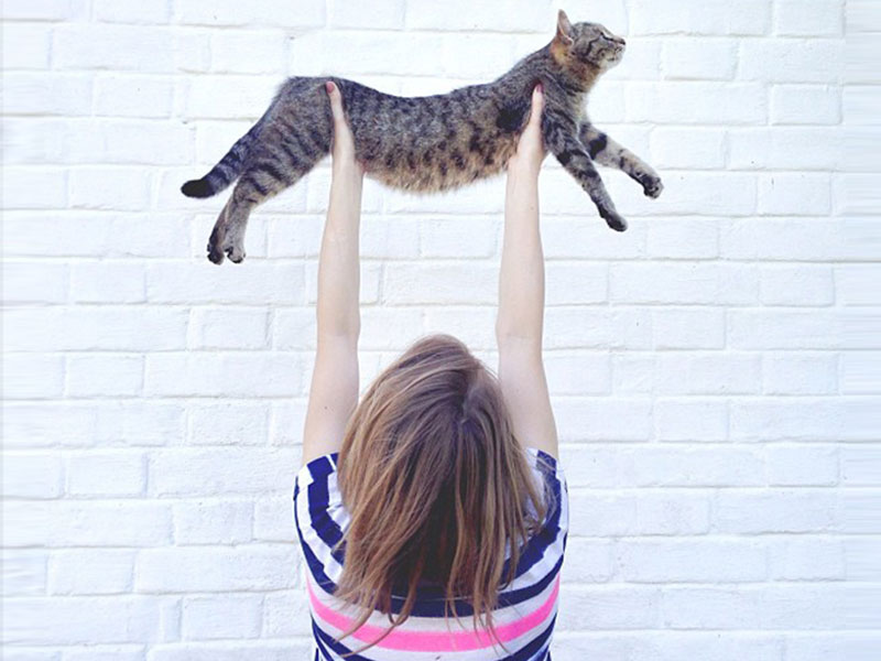 A woman enjoying the single life with her cat.