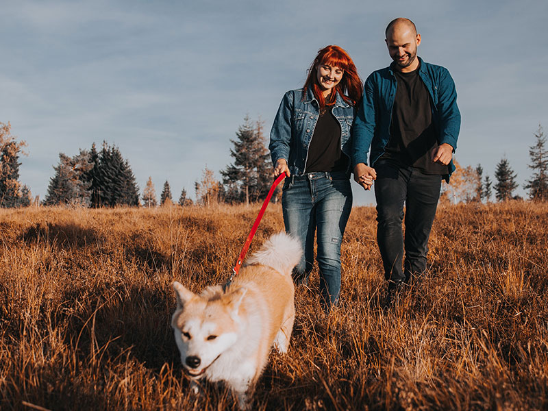 A couple moving on after a divorce walking their dog in a field and laughing.