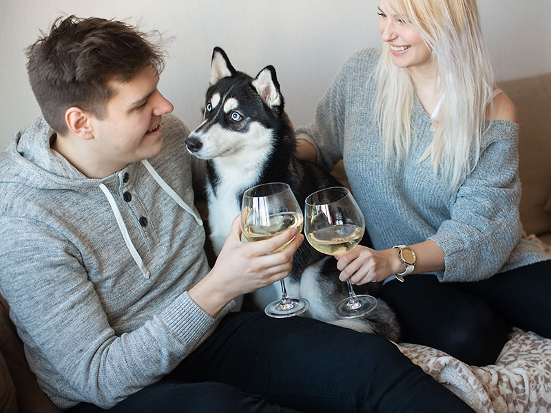 A couple who used these 1-year anniversary date ideas, drinking champagne and celebrating with their dog.