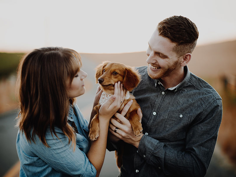 A couple in a good relationship smiling and laughing with their dog.